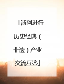 浙阿进行历史经典（非遗）产业交流互鉴